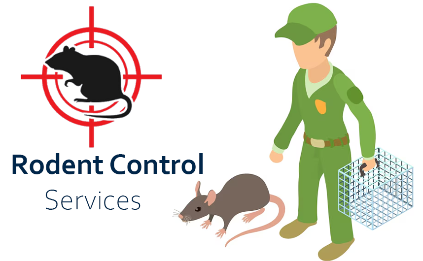 Rodent Control Qatar